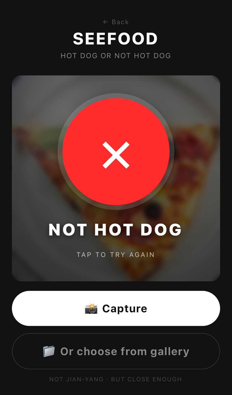 Not a hot dog